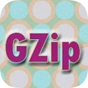 網(wǎng)頁GZIP壓縮檢測(cè)工具 v1.0 綠色版
