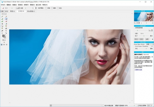 vertus fluid mask安裝教程，漢化版PS摳圖的插件